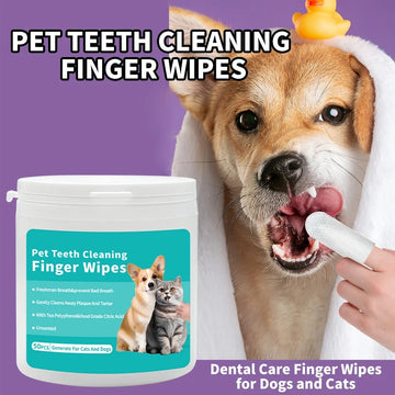 Disposable Pet Cleaning Teeth Cleaning